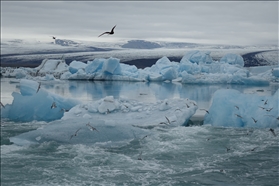 Jökulsárlón